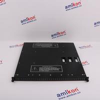 TRICONEX 3604E Distributed Control System (DCS)  | sales2@amikon.cn 